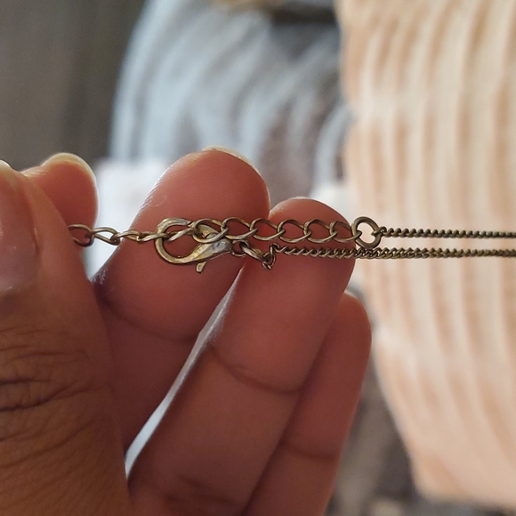 Animal Tooth Chain - Picture 2 of 5